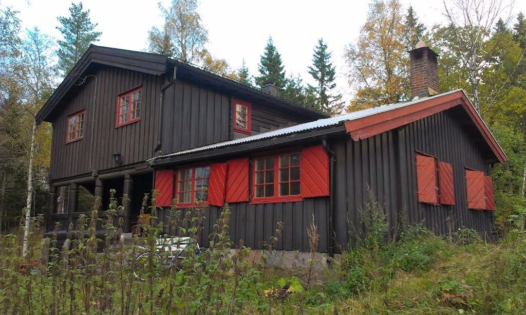 Foto av en brun hytte med røde vinduer og skodder.